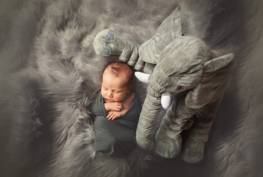 newborn photographer, newborn photography, colorado newborn photographer, colorado newborn photography